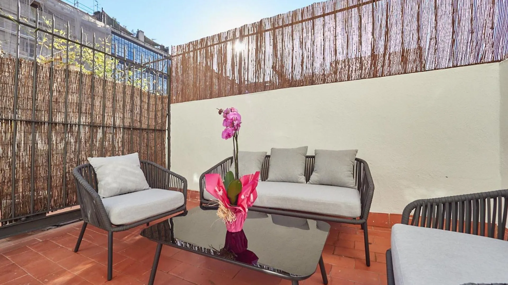 Apartment Barcelonaforrent The Living Spain